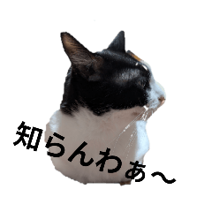 bun_20250207103820