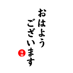 Ayaka_20250207130018