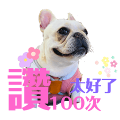 Bawan valentine day - LINE スタンプ | LINE STORE