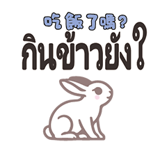 Thai Thailland rabbit bunny1