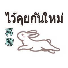 Thai Thailland rabbit bunny2