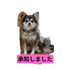 uzukomachi_20250207164727