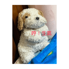 我的小狗叫咕嚕