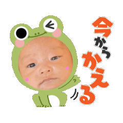 k_20250207194620
