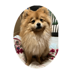 fuku2.7
