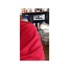 yukio_20250207154639