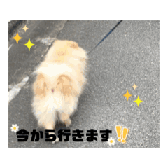 yukina_20250208090755
