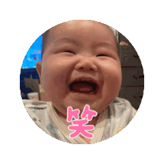 misato_20250208094635
