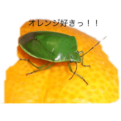 hi_20250207193633