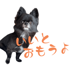 yukinko_20250207194805
