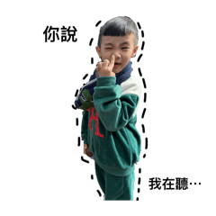 李家兒子表情包