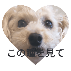 nanami_20250207194954