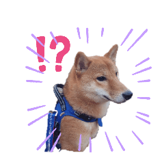 ryota_20250207214940