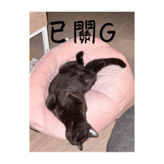 三個傻瓜⋯
