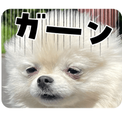 RIKU_20250207160403