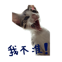 蛋餅成長史