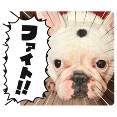 Sato_20250207232423