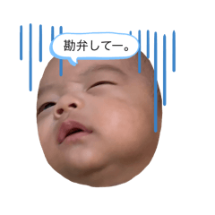 ysdmek_20250207161619