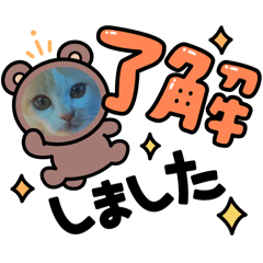 mm_20250207223842