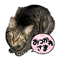Nao_20250207223239