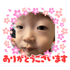 MASA_20250207212931