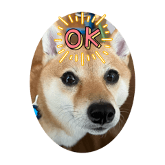 ok reiko