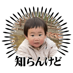 shiho_20250207175040