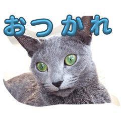 KK_20250207180028