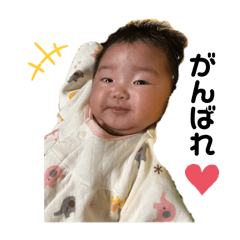 ami_20250207230102