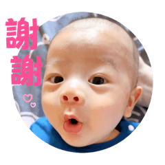 Lu_20250208102119
