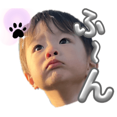 mei_20250208010417