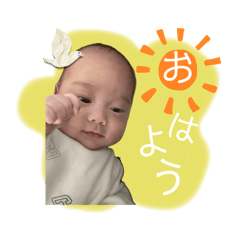 misa_20250208010543