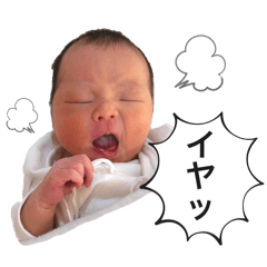 miyuki_20250208130551