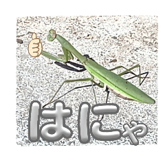 hi_20250207173741