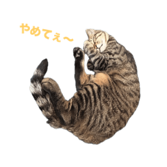 RURU_20250208140533