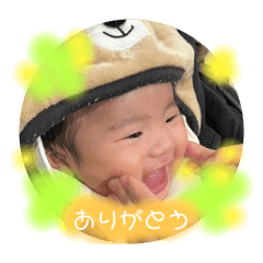 run run_20250207222238