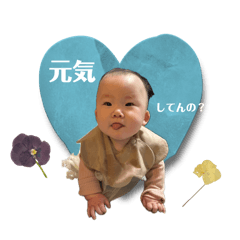 Aoi_20250207221956
