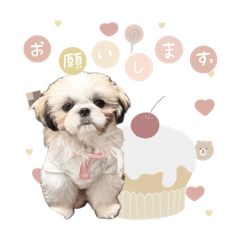 nonnoon_20250207234623