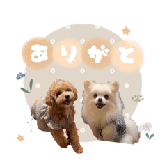 yurina_20250207234737