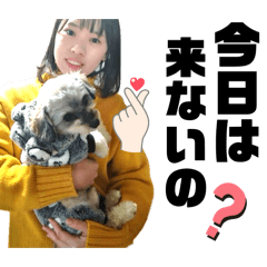 momoe5_20250207235836