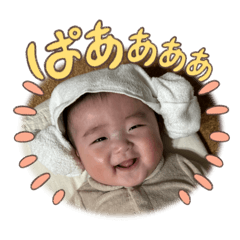 shiro_20250208023808