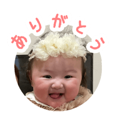 Shiho_20250208124352