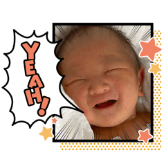 aoi_20250208154159