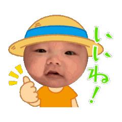 moe_20250208180356
