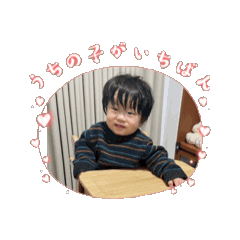 Hachi_20250208185847