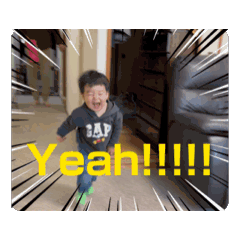 koara_20250208194802