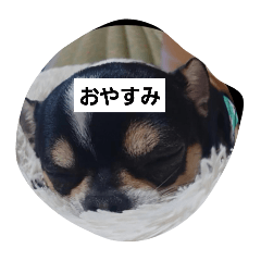 YuinA_20250208140151