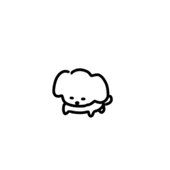 GG_20250208161410