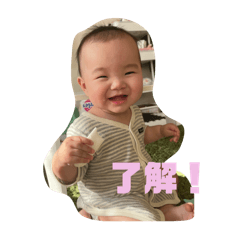 koto_20250208161610