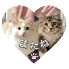 sato_20250208161730